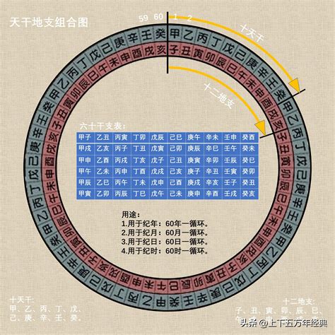 庚年|庚子年（干支纪年）